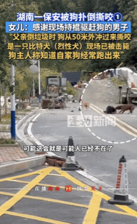 湖南，男子出门倒垃圾时遭遇比特犬疯狂撕咬，这只体重超80斤的烈性犬将男子扑倒后持