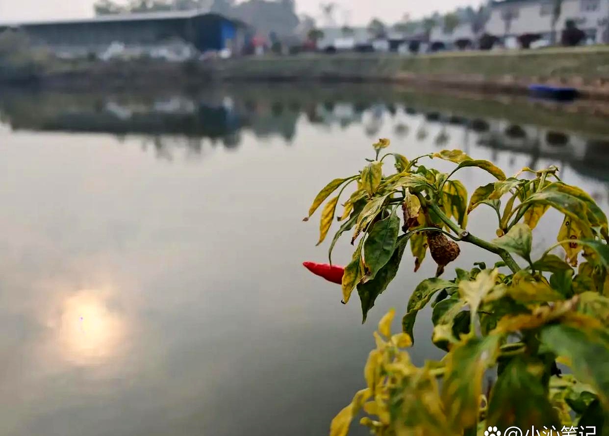 这段母女对话，简直当代教育的缩影。教育焦虑咱都理解，但养娃真不是一句“我养你”就