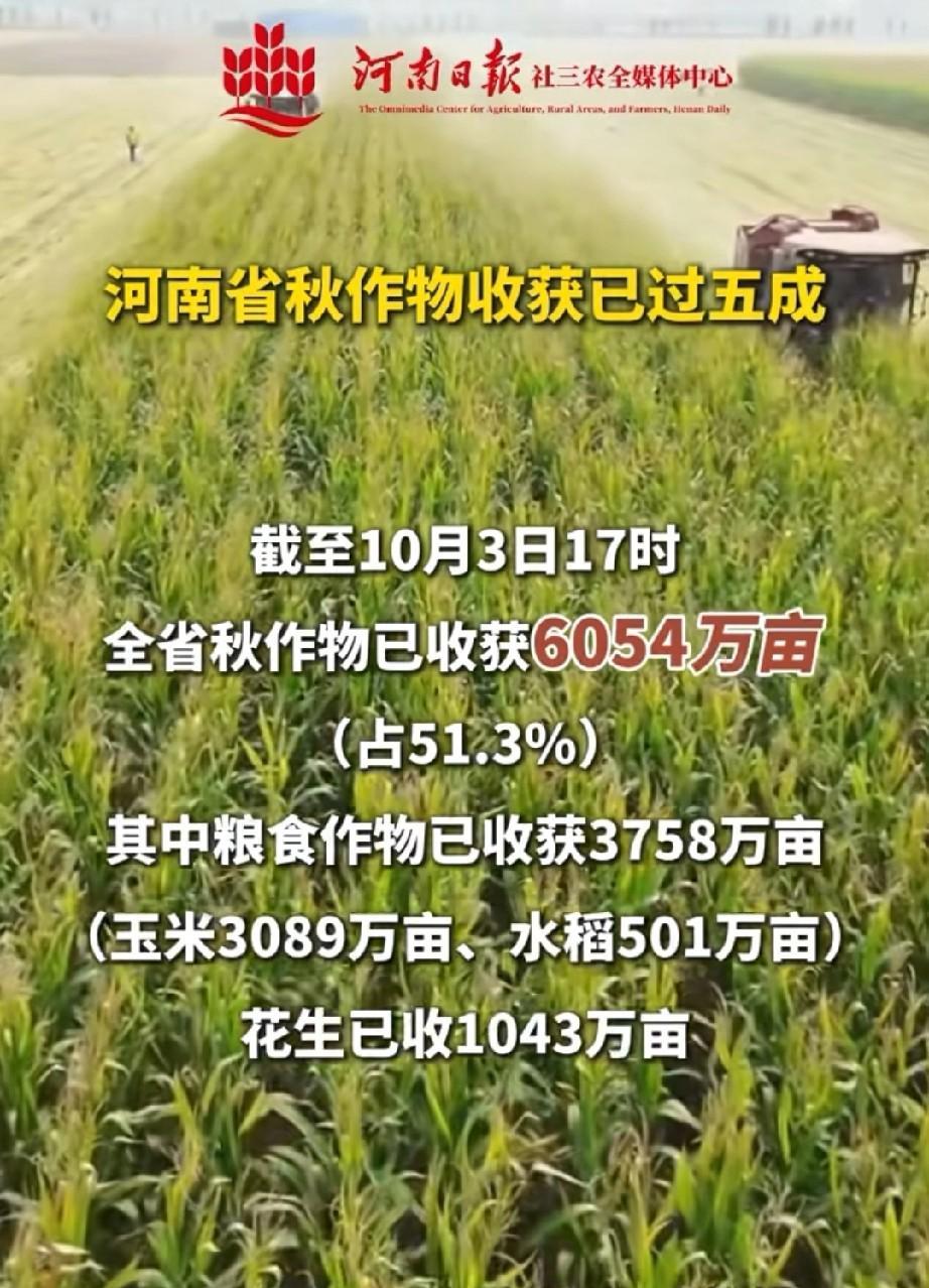 安徽省内因为季节气候原因，秋收进度和收成也是各不相同
国庆中秋长假，人们的目光更