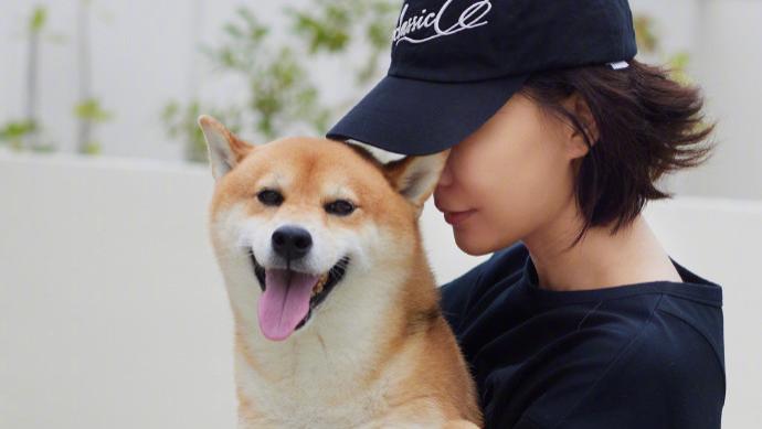 时隔6年，《向往的生活》柴犬瓢哥患病，王珞丹深感担忧