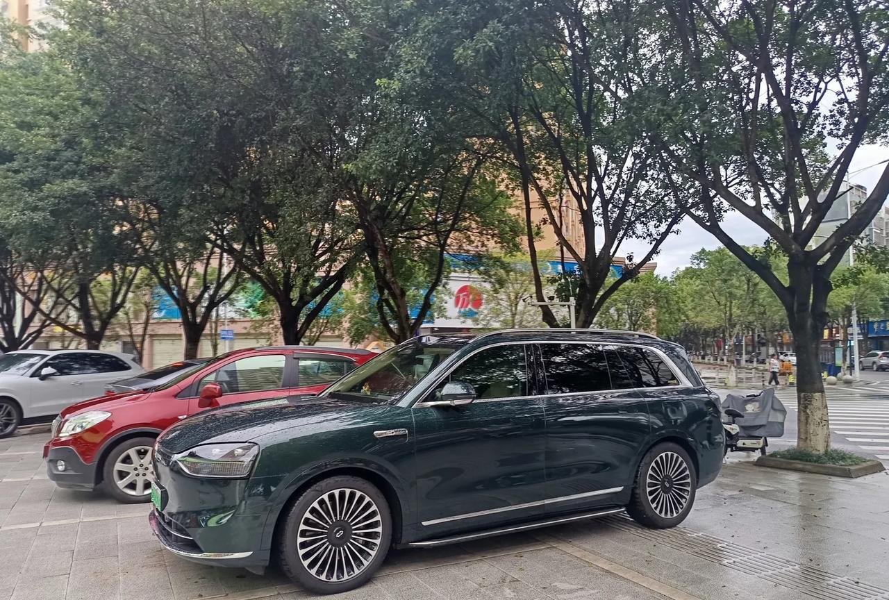 在我们小县城
看到不下于5辆M9了
而且都是本地牌
不是北上广深那种过年过节回老
