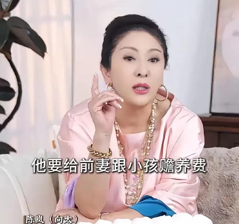 陈岚真的是聪明的女人，为了能和向华强顺利结婚，她把丁佩的抚养费从5000提到了1