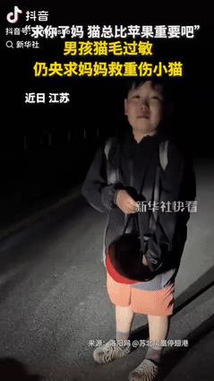 看哭了！江苏，一对母子晚上发现一只被车子撞伤的猫咪，男孩伤心大哭，表示要救猫咪，
