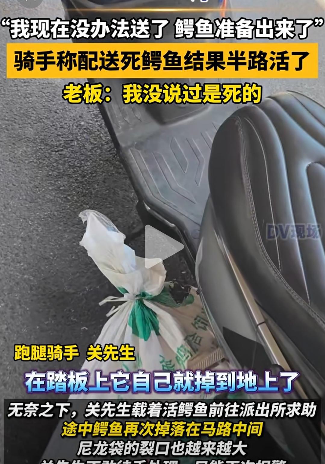 我预料到了骑手工作很辛苦
也预料到了送那些东西千奇百怪
万万没想到活体鳄鱼也要送