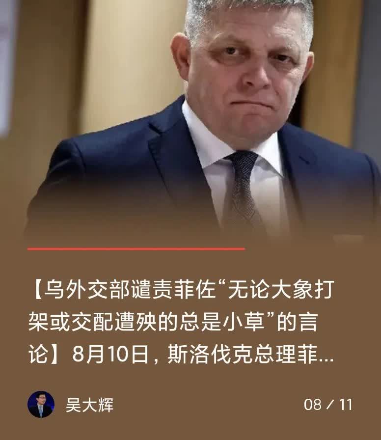 【说了“真话”而已！！！】
8月11日早，浏览国际新闻，看著名俄罗斯问题专家吴