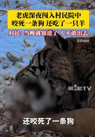 “连门都不敢出！”3月22日，吉林延边，一村民晚上准备睡觉，忽然听到院外传来几声
