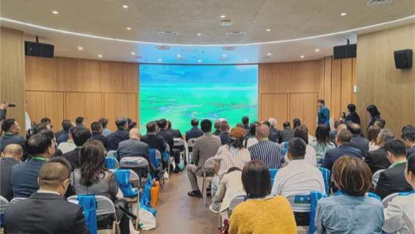 内蒙古羊绒惊艳大阪世博会，向全球展示“绿色发展”新名片