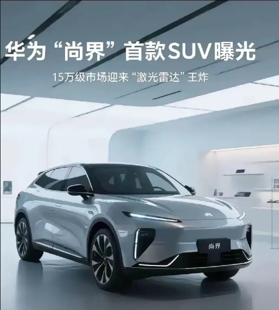 华为和上汽合作的尚界要是上市那不得了。
15万附近的价格要无敌了。