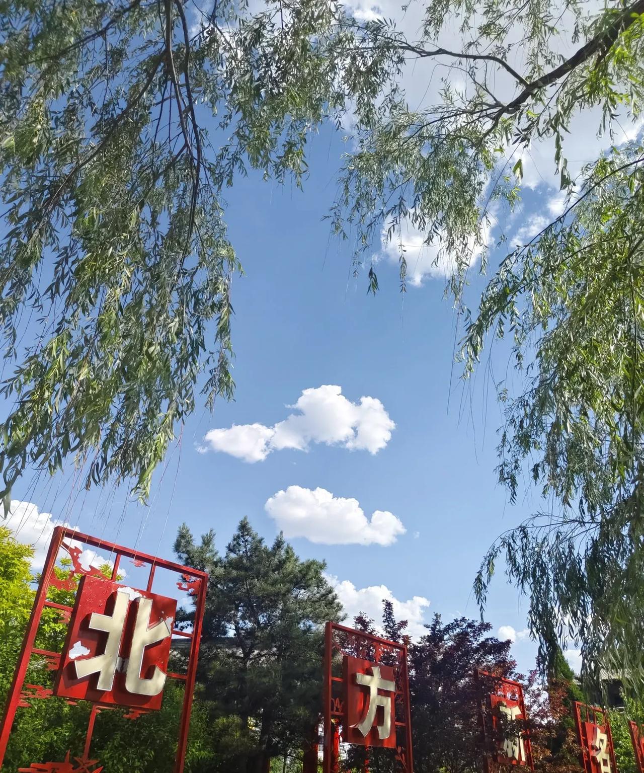 又是一年高考季，这两天，老师们紧张，生怕这个知识点没传授那个知识点没讲清。
忙碌