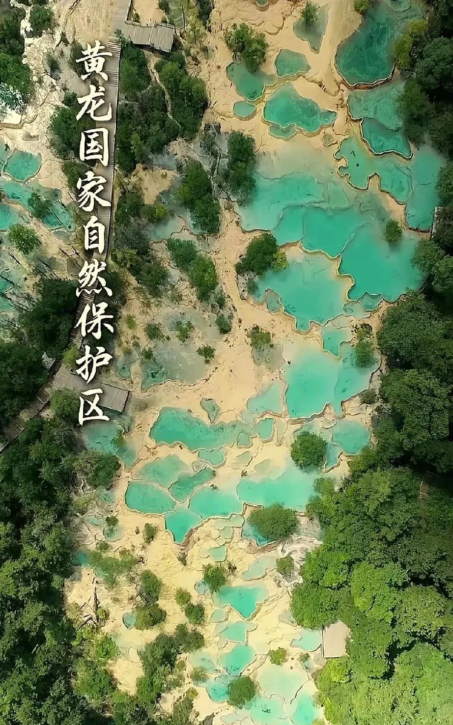 董宇辉动了谁的奶酪？瞬间觉得不香了，不知道为什么。
董宇辉同学的努力放在那里，有