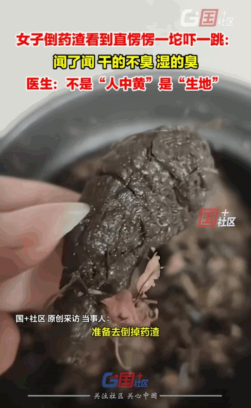 6月9日，河南安阳，女子去中医那儿抓了几副中药，回家熬好后准备倒药渣，结果发现里