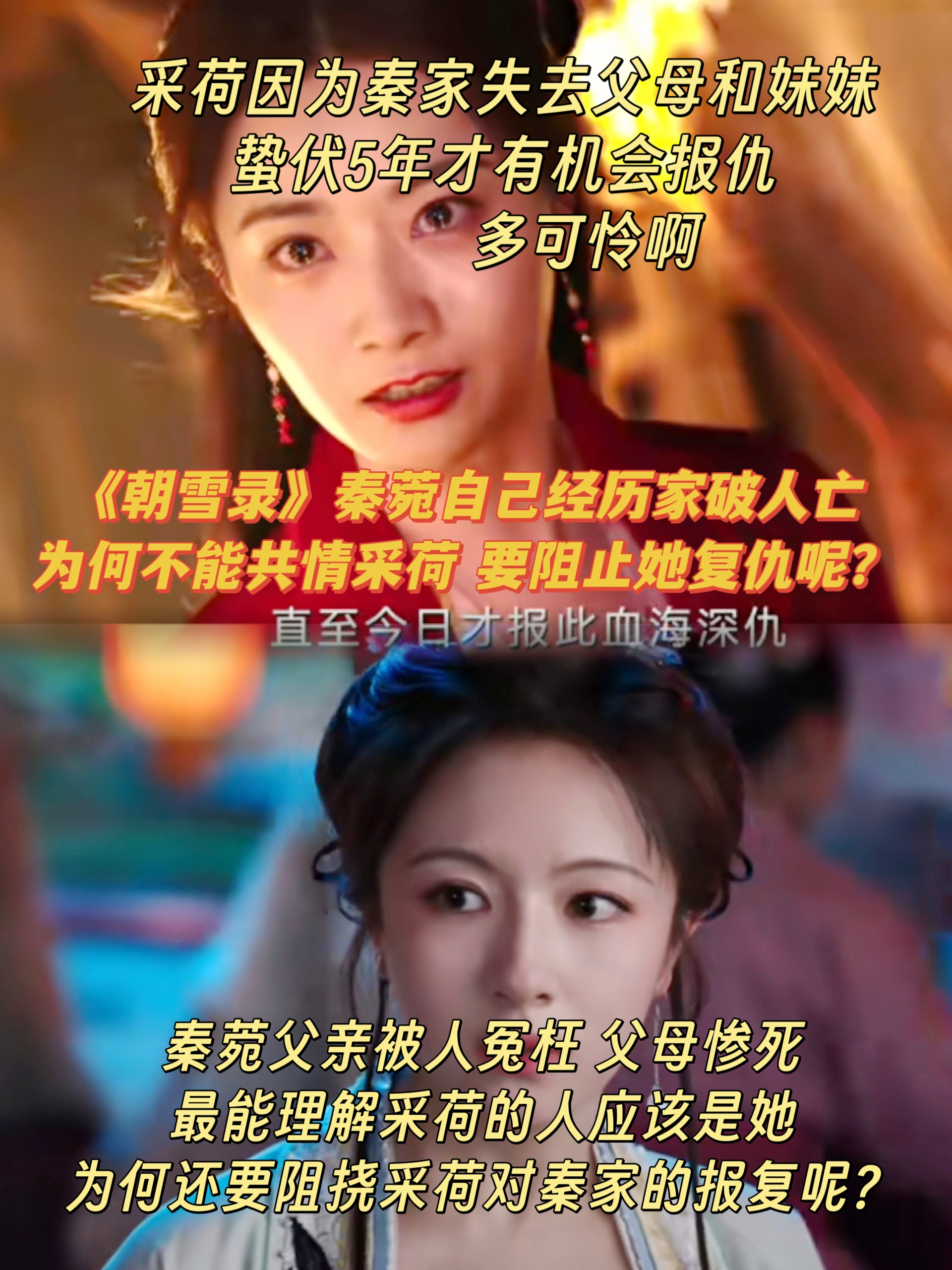《朝雪录》沈菀被害家破人亡，为何还要阻止采荷复仇？