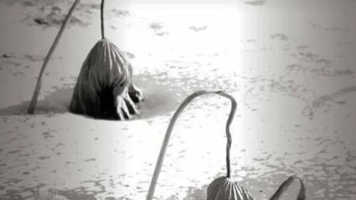 南京中海业主断中介财路：宁丢工作不卖房，央企降价为何引众怒？