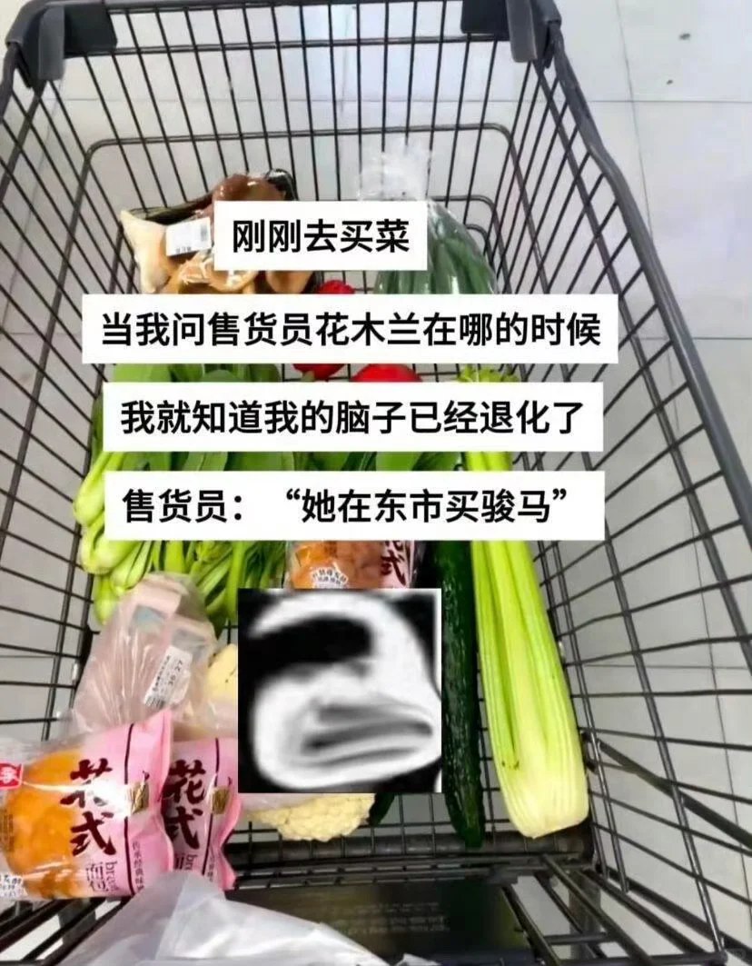 出门脑子落家了