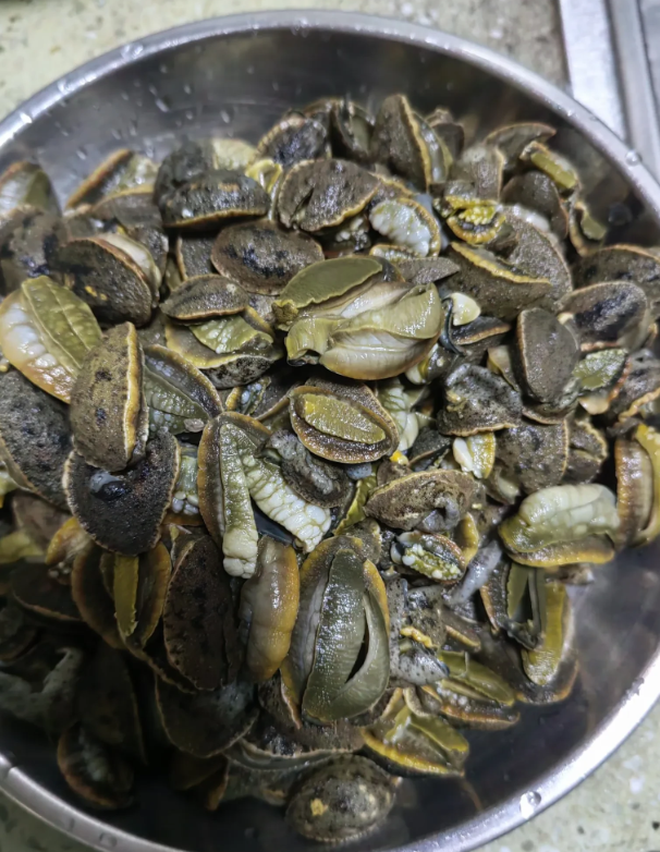 你吃过这个吗？
是哪里的美食？第一次见这东西，初次见面感觉瘆得慌…