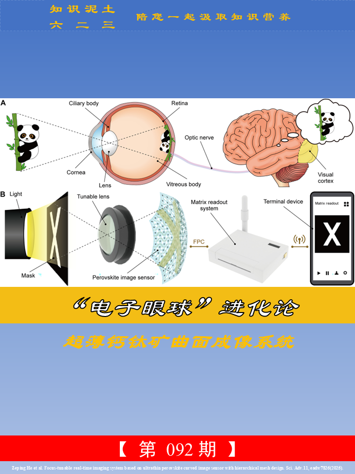 会像人眼一样调焦的 