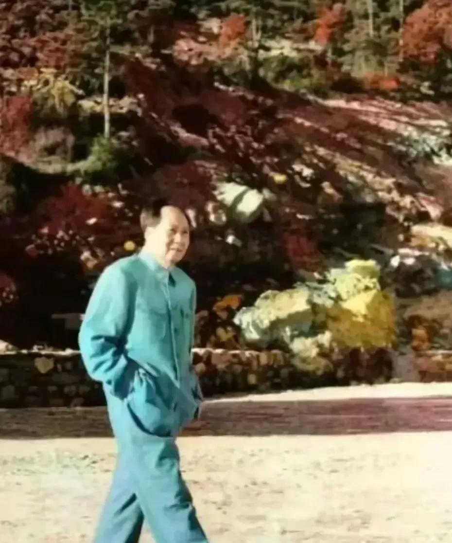 我非常喜欢主席的这张照片，双手插入裤袋中，大步流星，威武霸气。
博览群书，满腹经