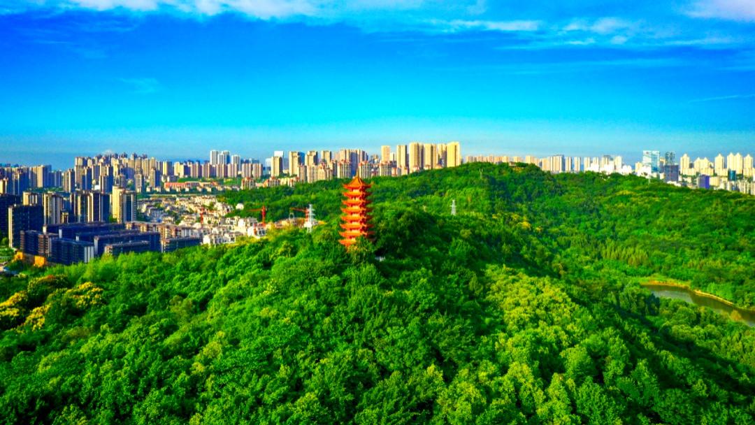 两江新区“王炸”地块出让！照母山2.0升级版来了！