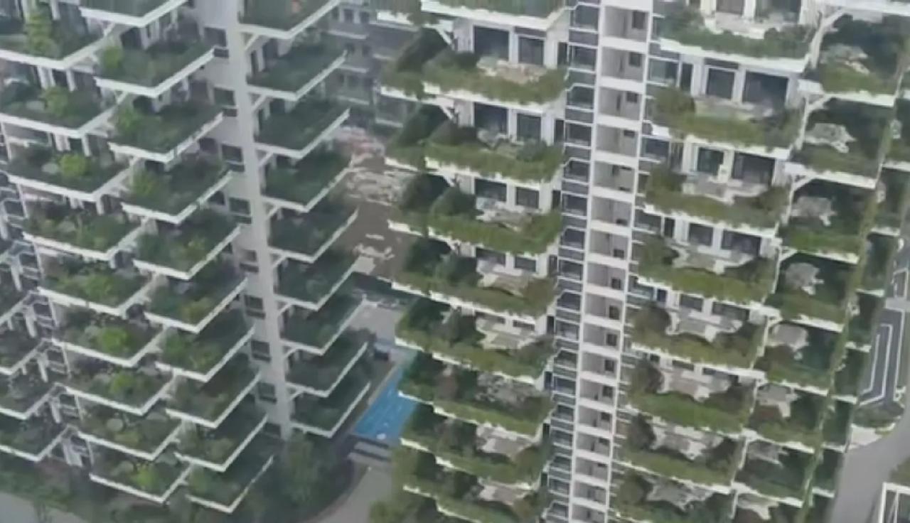 南宁的第4代住宅，在未来或许也会成为绿色住宅建筑。因为第4代住宅的阳台极为巨大，