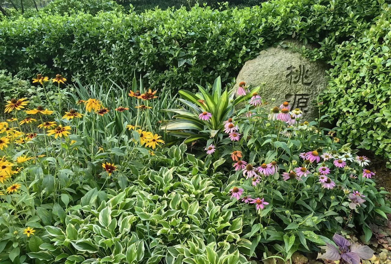 1981年师专毕业后分配到县城的一个局里上班，那时候还没有国企私企、体制内外之分