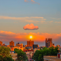 梦里花落无声者