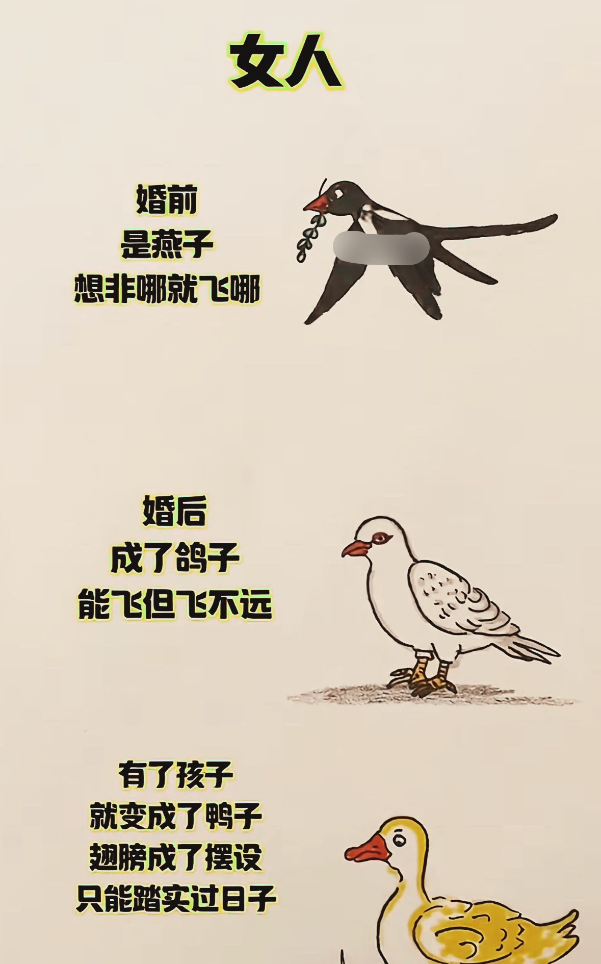 这是谁总结的，太有才了！