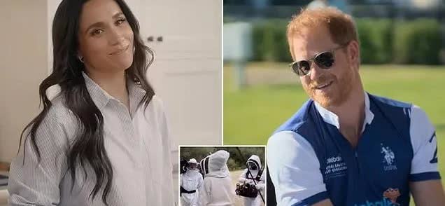 梅根的节目《With Love, Meghan》收视排名第383位。
而哈里的