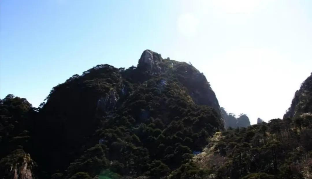 现在是乙巳年 壬午月 丙午日 甲午时，火其旺无比，大家感觉如何，今天可以观察下有