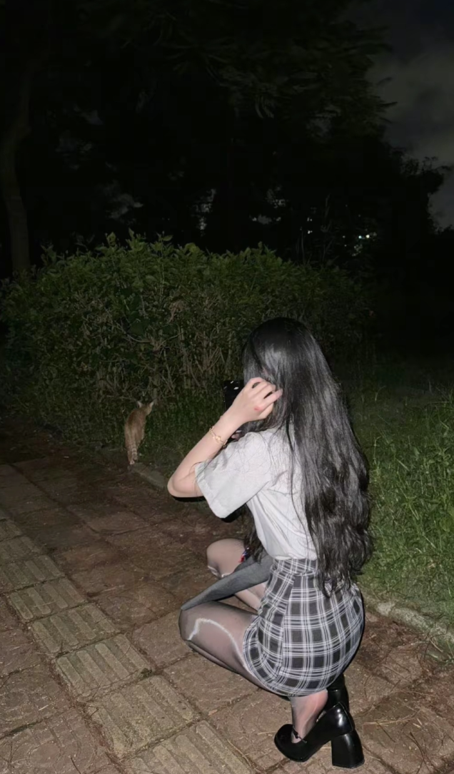 陪闺蜜出来散步发现一只猫猫