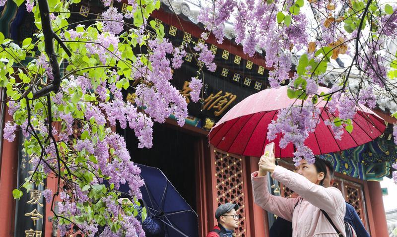 乾隆六下江南真相：豪门认亲还是公款旅游？
民间疯传乾隆实为海宁陈阁老之子，证据竟
