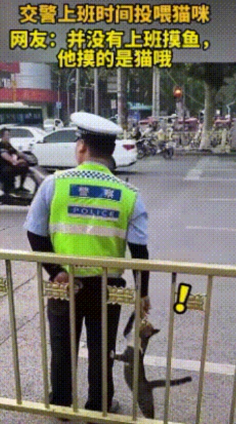 “这是什么神仙交警啊！”别的交警上班摸鱼我眼红，但是这位交警上班摸鱼，我希望多来