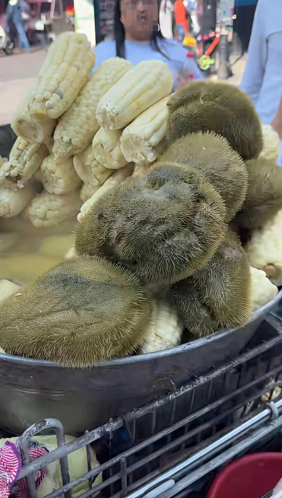 #你期待的晚年生活是什么样的#这是卖的什么？