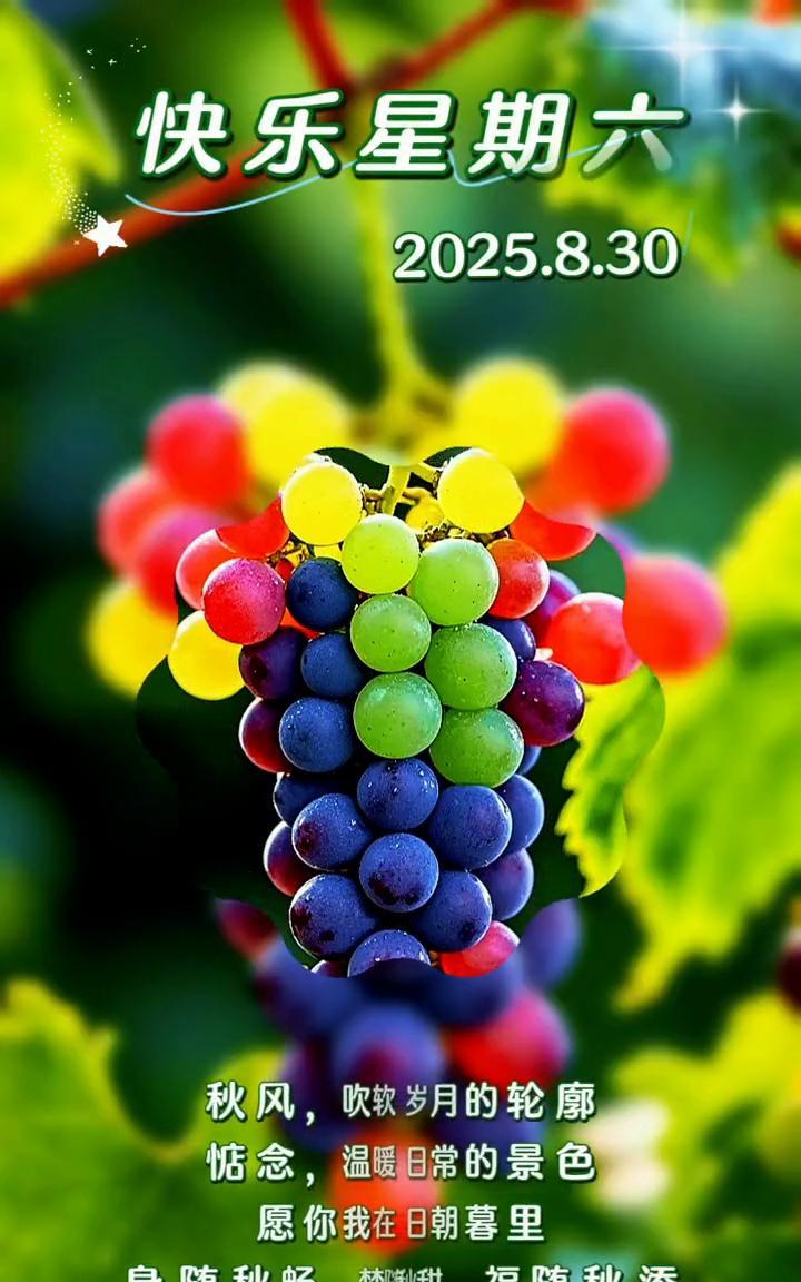快乐星期六。
2025.8.30。秋风吹软了岁月的轮廓，惦念温暖了日常的景色。愿