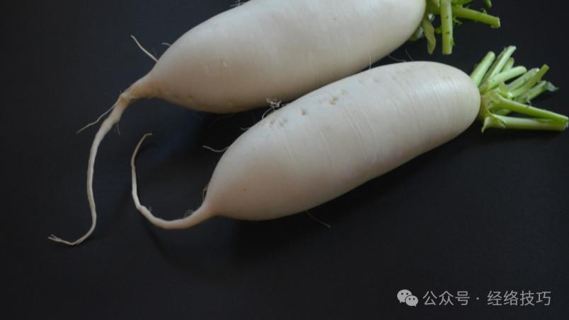 萝卜会破气？冬天它和苹果才是绝配，温和滋养，从内暖到外，整个人都润润的