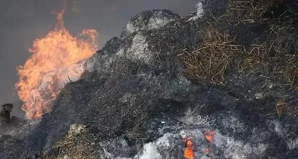 韩国网民甩锅中国山火











韩国一些人真是让人无语！好好的山火，
