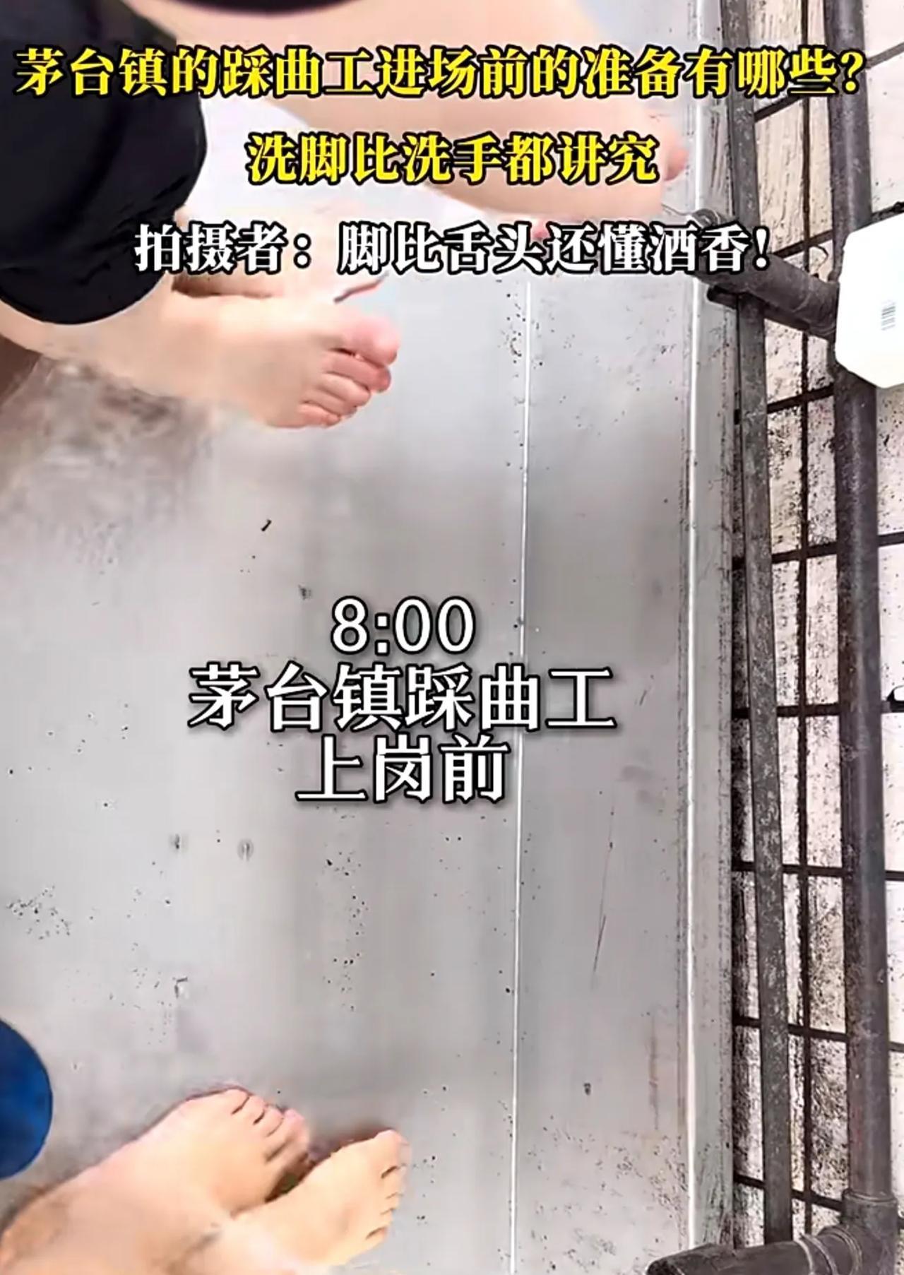 #教育领航者创作计划#茅台镇的踩曲工进场前的准备有哪些？