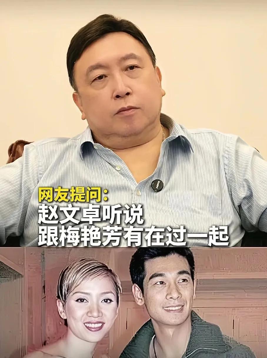 王晶说得还是隐晦了
梅艳芳和赵文卓 因为身份悬殊，港圈把他当成梅艳芳养的小狼狗，