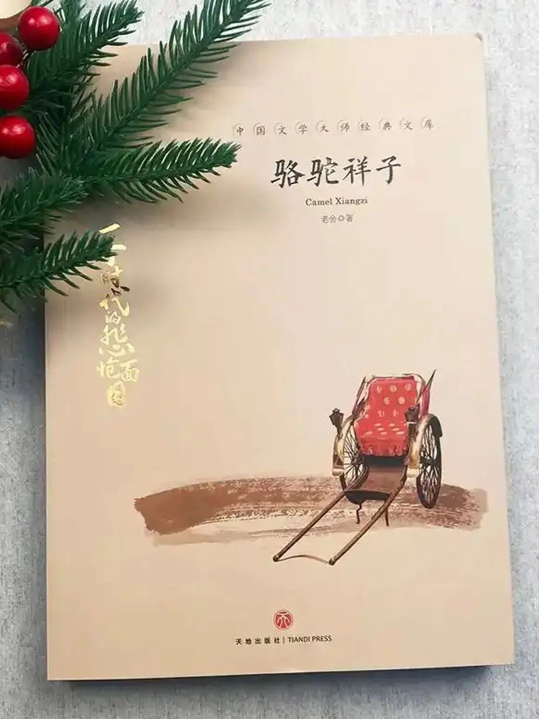 《骆驼祥子》：决定一个人命运的不是努力，也不是机遇，是认知！