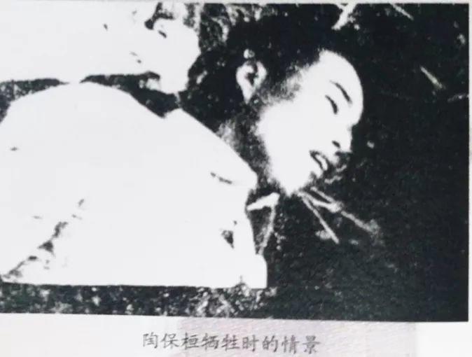 一张震撼人心的照片，照片拍摄于1937年。照片上的人叫陶保桓，因叛徒出卖被捕。临