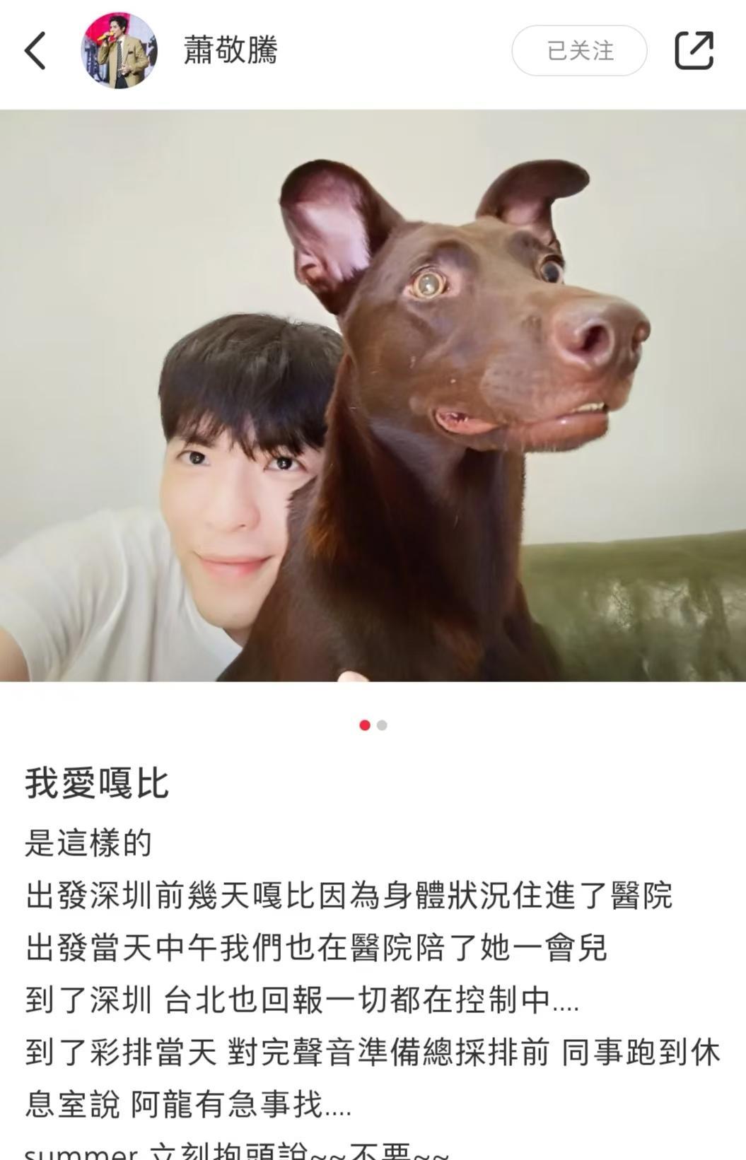 看到萧敬腾和他老婆夏天各自分享的内容，我再次明白了自己真的不适合养宠物。
近日，