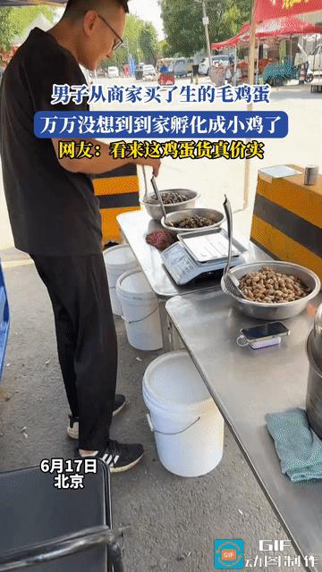 笑不活了！北京，男子网购了一批生的毛鸡蛋，收到货以后忙得顾不上吃，就放置了几天，