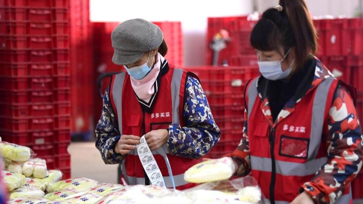 买菜平台轮番翻车，街坊吐槽不断，多多凭低价登顶，这局赢的不光彩？