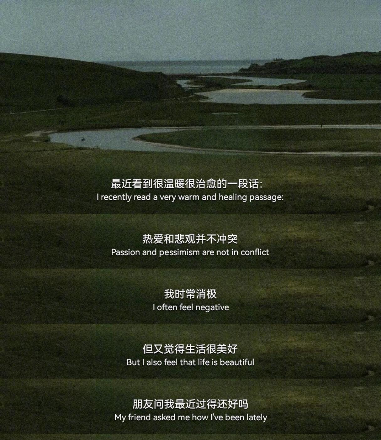 “热爱和悲观并不冲突”