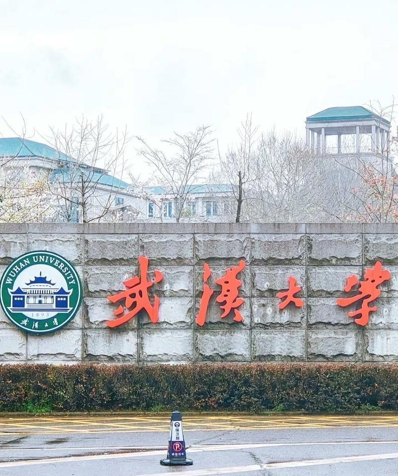 武大被爆接受美国资助，提供美方需要的课题研究成果，这事干的让人挺担心！
近日有媒