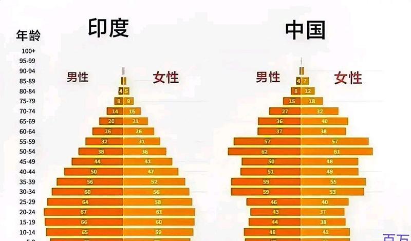 AI时代，还拿印度的“人口红利”来吹捧，认为印度有条件赶上和超过中国的人，简直是