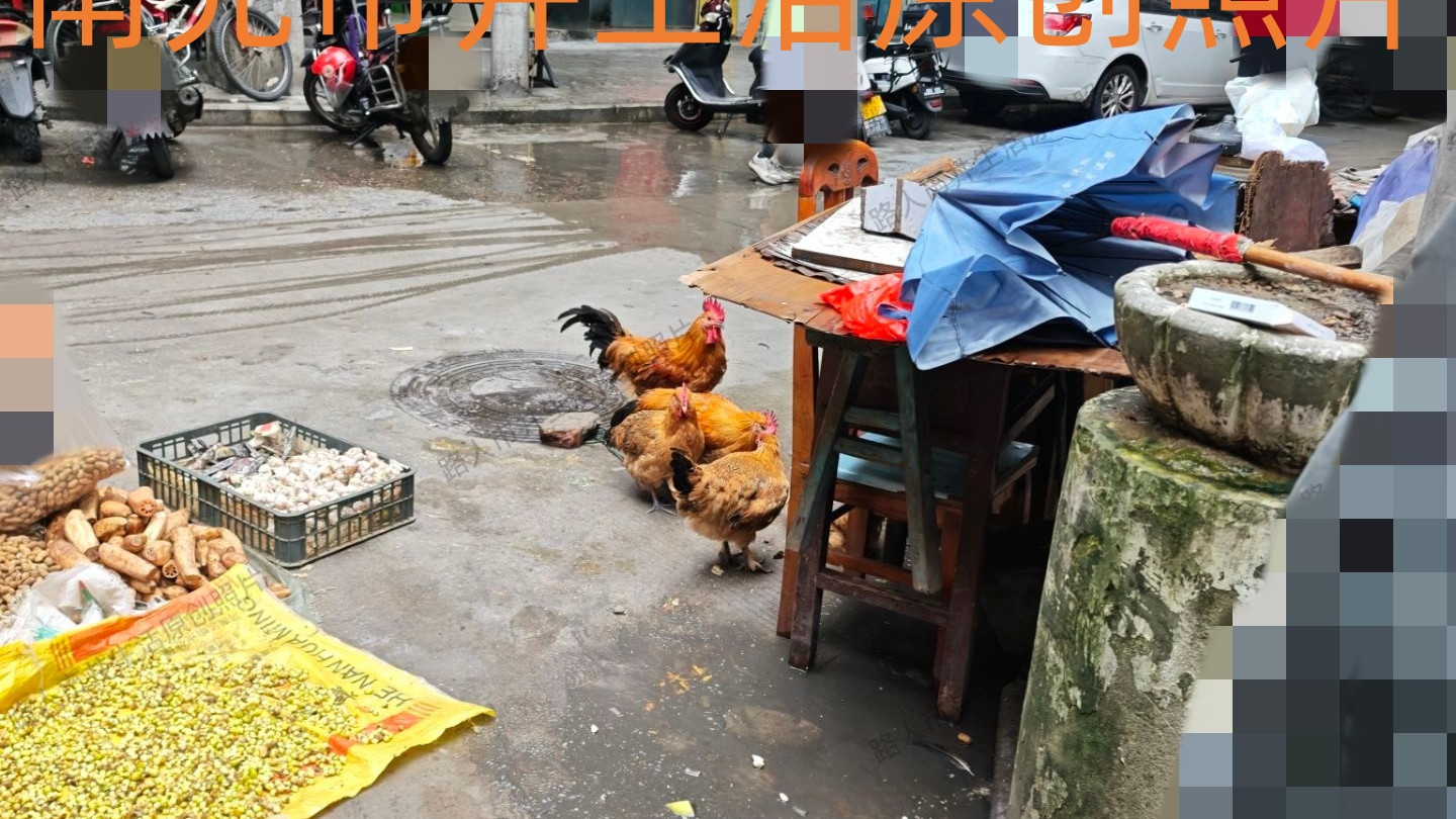 南充市华光巷附近出现了如此场景，该咋办？