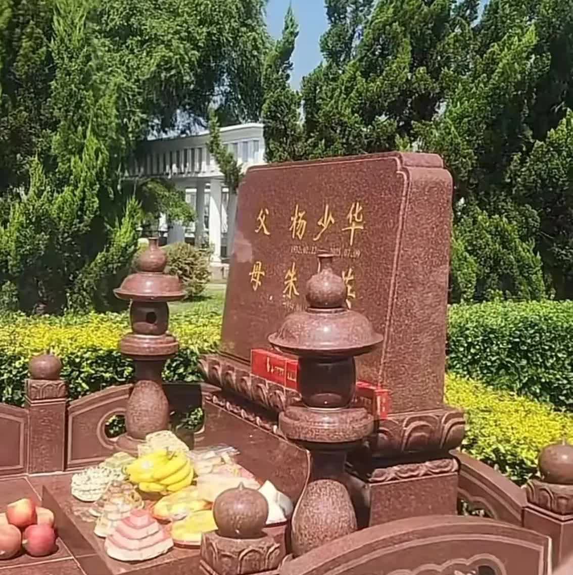 杨少华老爷子，94岁无疾而终，这是真正的喜丧，烧五期，排面十足。儿女、孙辈都到了