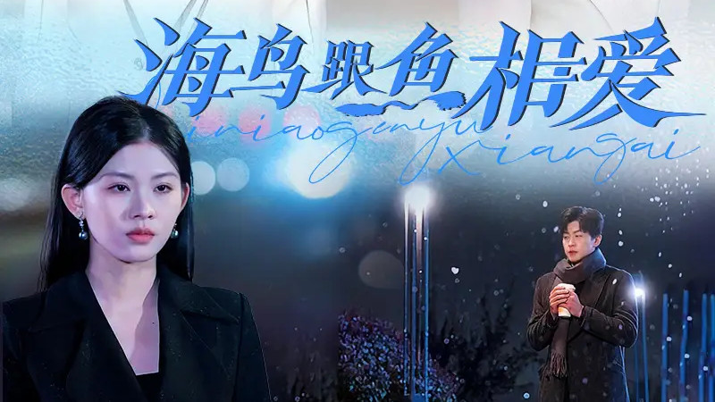 《海鸟跟鱼相爱》：跨越物种的爱恋传奇