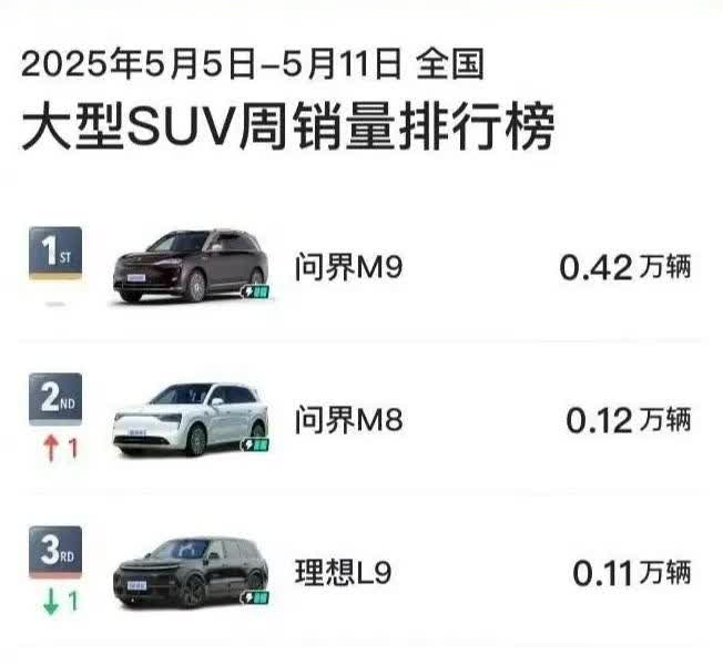 在大型SUV这个榜单上，曾经的领头羊，理想已经失去了竞争力，未来进前三都有难度。