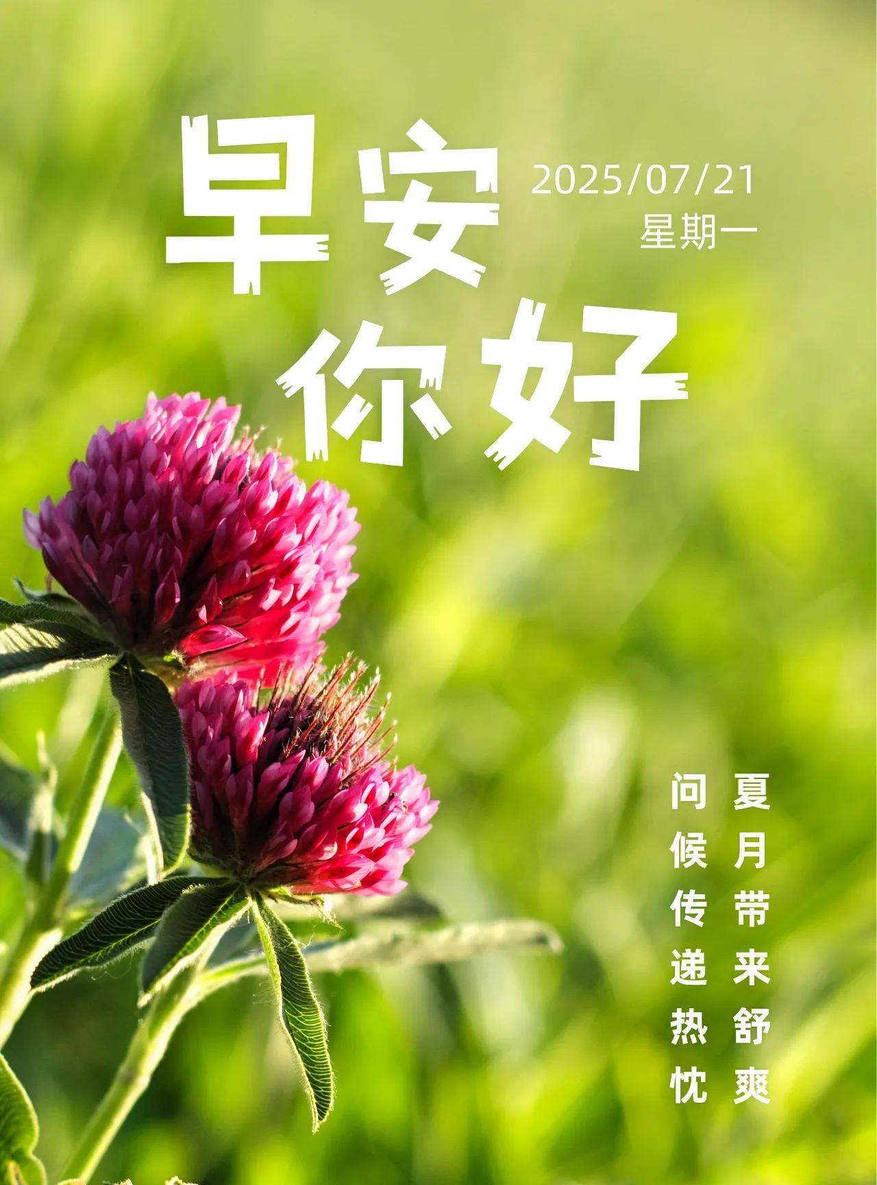 夏风轻拂，夏叶婆娑。一场蝉鸣的悠扬，春日的余韵悄然褪去；一阵夏风的絮语，盛夏的风